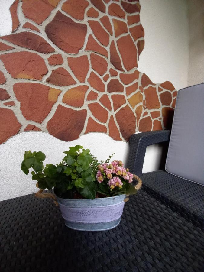Apartman Erika - เบเชนยอวา ภายนอก รูปภาพ