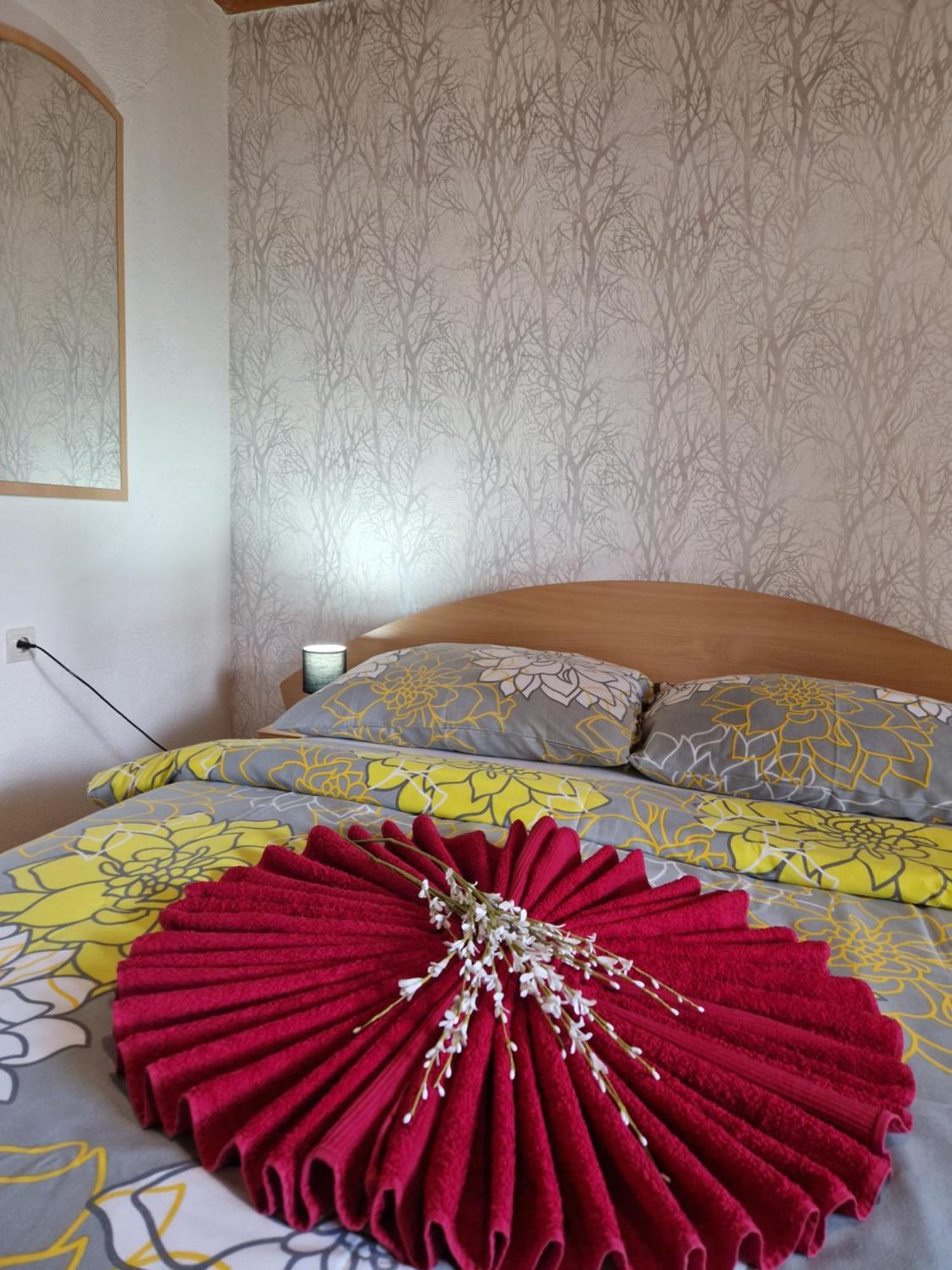 Apartman Erika - เบเชนยอวา ภายนอก รูปภาพ
